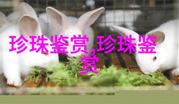 深圳京基宸悦府建面户型图鉴赏